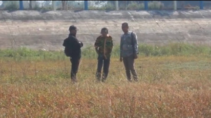 Kemarau, Embung Celengan di Blora Mengering Berdampak Buruk pada Sektor Pertanian