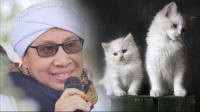 Bolehkah Mensteril Kucing? Buya Yahya Jawab Tegas Hukumnya, Ternyata Hewan Itu...