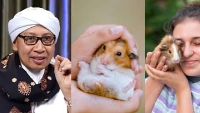 Walau Hamster Lucu dan Menggemaskan, Tolong Mulai Sekarang Tak Perlu Lagi Pelihara Hewan Mungil itu, Buya Yahya Bilang...