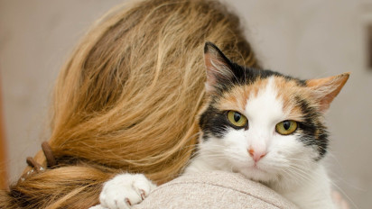 Apa Benar Pelihara Kucing Bisa Melindungi Rumah dari Ular Liar? Berikut Penjelasan Panji Petualang yang Bilang...