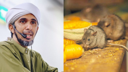 Jangan Sepelekan Keberadaan Tikus di Rumah, Habib Ali Zaenal Abidin Al Hamid Tegaskan Itu Tanda Bahaya, Bahkan Rumah Kita Bisa Kena...