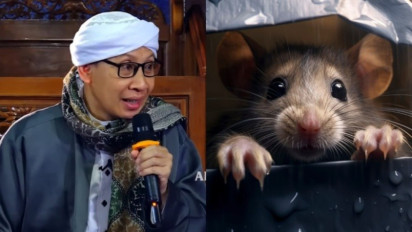 Mulai Sekarang Jangan Lengah saat Tikus Kencing di Pojokan dalam Rumah, Buya Yahya Ingatkan Hukumnya, Jangan Sampai...