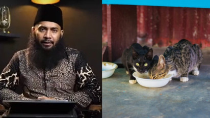 Jangan Ragu Beri Makan Kucing Liar, Kata Ustaz Syafiq Riza Basalamah Tindakan Itu Termasuk...