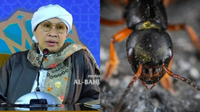 Tolong Istighfar saat Tak Sengaja Sentuh Bangkai Semut di Rumah, Meski Ukurannya Kecil Kata Buya Yahya Ada Tanda...