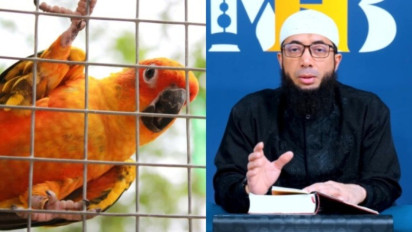 Tolong Jangan Biasakan Pelihara Burung di Kandang, Meski Suara Kicaunya Merdu dan Indah, Kata Ustaz Khalid Basalamah dalam Islam...
