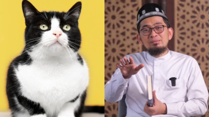 Mulai Sekarang Jangan Keliru saat Pelihara Kucing di Rumah Ada Kesucian, Ustaz Adi Hidayat Ungkap Sebenarnya...