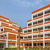 Kemdikbudristek: AMN Bisa Jadi Pusat Penguatan Identitas Bangsa