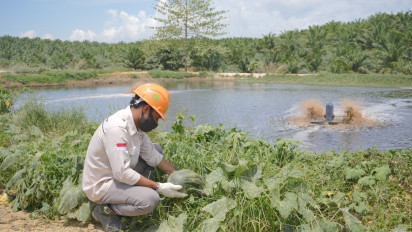 Menuju Net Zero Emission, PT GMM Olah Limbah Jadi Pupuk