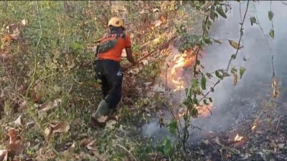 Kebakaran Hutan Rakyat di Gunung Gombak Ponorogo Kembali Terjadi, Warga Resah