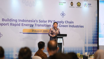 IESR Paparkan Peluang Indonesia Pemimpin Pasar Energi Surya di Asia Tenggara, Fabby Tumiwa: Ada Potensi Investasi yang Menarik