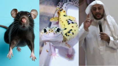 Bukan Cicak dan Tikus, Tolong Biarkan Hewan ini Masuk Rumah agar Dosa Diampuni dan Masuk Surga Kata Syekh Ali Jaber
