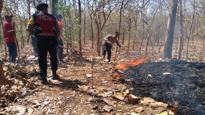 Ponorogo Dilanda Kebakaran Hutan Lagi, 25 Hektare Hutan Jati Terbakar di Gunung Gombak dan Sarean