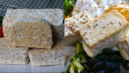 Meski Murah dan Bergizi, Konsumsi Tahu Tempe Bisa Picu Asam Urat, Apa Benar? Begini Penjelasan dr Zaidul Akbar