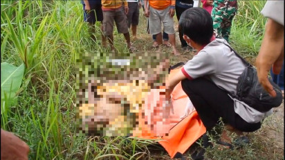 Pamitan ke Sawah, Petani Ditemukan Tewas Dikerubuti Semut di Bekas Jalur Perlintasan KA Lumajang