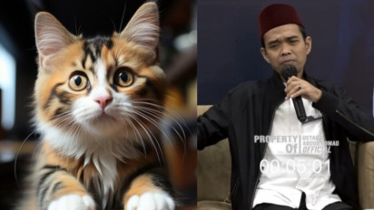 Tolong Jangan Keliru Lagi, Ternyata Bagian Tubuh Kucing ini Tidak Najis, Ustaz Abdul Somad Ungkap dari Pendapat...