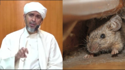Jangan Diam Saja Kalau Banyak Tikus di Rumah, Kata Habib Ali Zaenal Pertanda Ada Bahaya Ini