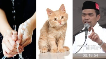 Habis Wudhu Langsung Shalat Tiba-tiba Disentuh Kucing, Batal atau Tidak? Ustaz Abdul Somad Tegaskan kalau itu...