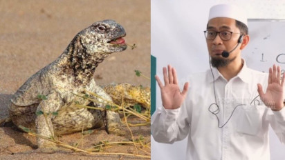 Tolong Makan Kadal Gurun atau Dhab saat di Kondisi ini, Dibolehkan Nabi Muhammad SAW, Ustaz Adi Hidayat Ungkap Alasannya