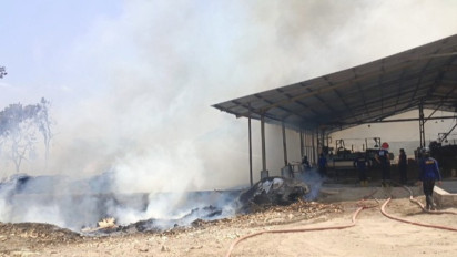 Kebakaran Besar di Pabrik Kayu Ponorogo, Gudang dan Ribuan Lembar Kayu Hangus Terbakar