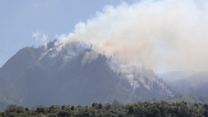 Dampak Kemarau Panjang, Kawasan TNBTS di Bukit Ebeng-ebeng Desa Argosari Terbakar