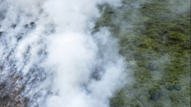 Gawat! Imbas Musim Kemarau 86 Hektar Lahan di Jabar Alami Kebakaran