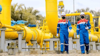 Pertamina Jajaki Kerja Sama Energi Bersih di Afrika Selatan, Incar Sumber Gas dari Mozambik