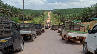 GAPKI dan Eks Gubernur Kalteng Desak Pemerintah Atasi Penjarahan Sawit di Kalimantan Tengah
