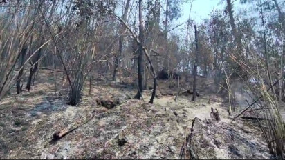 Karhutla Kawasan TNBTS Sudah Padam, Petugas Masih Disiagakan 