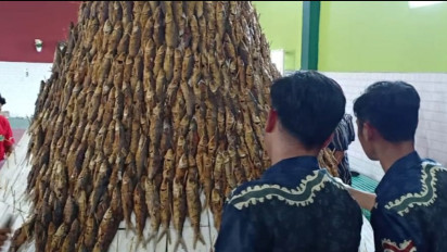 Keren, Tumpeng Raksasa 2.500 Ikan Bandeng Warnai Sedekah Bumi Tambak Beras Gresik