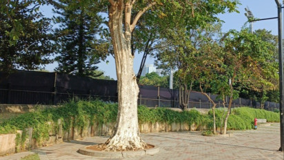 Bukan untuk Timnas Indonesia, Ini Alasan Kain Hitam Menutupi Lapangan A Senayan