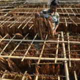 BRIN Lakukan Uji Produk Tembakau Alternatif, DPR Nilai Bisa Jadi Perspektif Kebijakan Publik