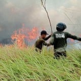Kebakaran Way Kambas Meluas, Pemadaman Diperkuat Water Bombing dan Drone Thermal