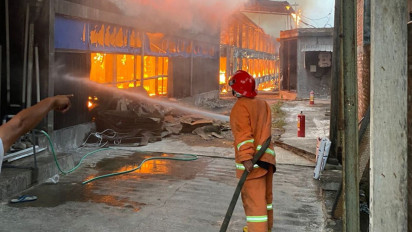 Kebakaran Kandang di Kudus, Ribuan Ayam Mati Terpanggang, Kerugian Mencapai Miliaran Rupiah