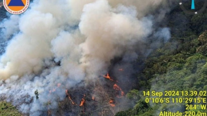 Alarm Bahaya Kebakaran Lahan di Kalimantan, BPBD Kalbar Minta Pemerintah Daerah Segera Lakukan Hal Ini