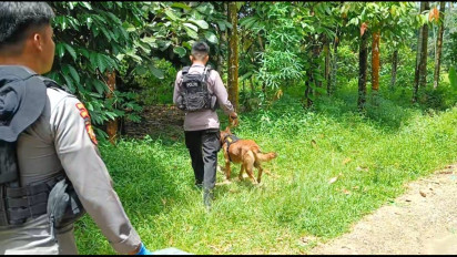 Sempat Muncul, Tersangka Pembunuhan Nia Kurnia Sari Hilang di Jurang