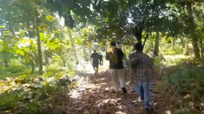 Polisi dan Warga Buru IS, Tersangka Pembunuh Gadis Penjual Gorengan di Pariaman hingga ke Hutan