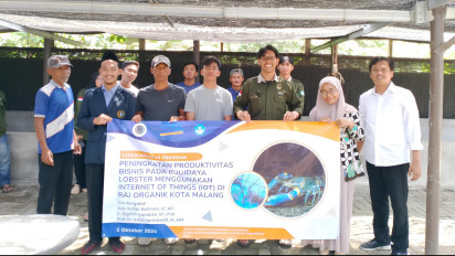 Solusi Jitu Universitas Widyagama Malang Tingkatkan Produktivitas Budidaya Lobster