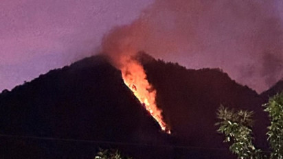 Kebakaran Melanda Kawasan Hutan di Lereng Gunung Telomoyo Kabupaten Semarang
