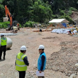 Alasan PT Masmindo Tebang Paksa Pohon Cengkeh Warga di Luwu