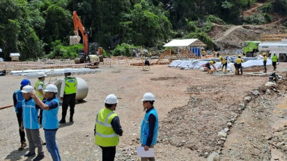 Alasan PT Masmindo Tebang Paksa Pohon Cengkeh Warga di Luwu