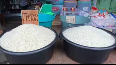 Bapanas Ungkap Biang Kerok Harga Beras dalam Negeri Mahal, tapi Pendapatan Petani Rendah