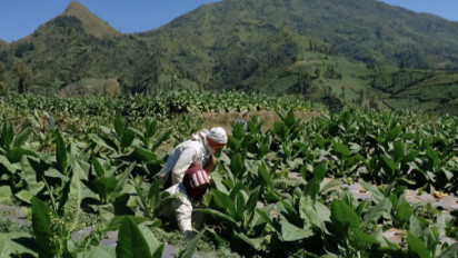 Suarakan Aspirasi Lewat Partisipasi Sehat, Petani Minta Kemenkes Akomodir Masukan Elemen Pertembakauan