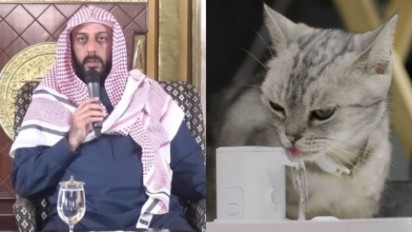 Bukan Kucing, Setiap Pagi Kasih Makan Hewan ini di Rumah, Seketika Dibalas Pakai Zikir, Syekh Ali Jaber Bilang Rezeki...