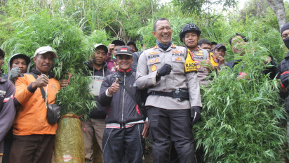 Area Pencarian Diperluas, Polisi Berhasil Amankan 10 Ribu Batang Tanaman Ganja dari 16 Titik Ladang di Kawasan TNBTS