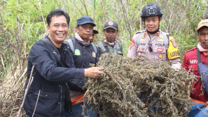 Selain Ladang, Polisi Juga Temukan 10 Kilogram Ganja Kering di Puncak Bukit TNBTS