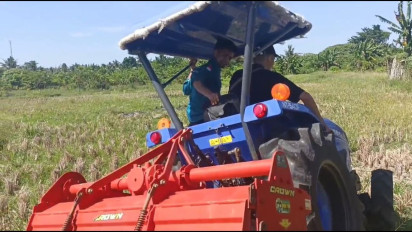 Genjot Partisipasi Generasi Muda di Sektor Pertanian Modern, Kementan Gencarkan Program MBKM