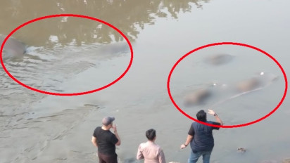 Soal 7 Mayat Ditemukan di Kali Bekasi Polisi Sebut Ada Dugaan Minuman Beralkohol, Ada 30 Motor dan 60 Orang di Bedeng Tempat Mereka Kumpul