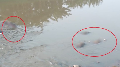 Begini Penampakan 7 Mayat yang Ditemukan Mengambang di Kali Bekasi, Semuanya Berjenis Kelamin Laki-Laki, Kondisinya Mengenaskan