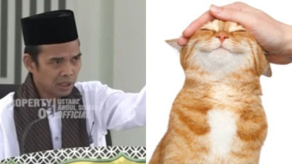 Benar atau Tidak Kucing dan Hewan Peliharaan Rumah Tak akan Hidup Lagi di Akhirat? Begini Jawaban Ustaz Abdul Somad