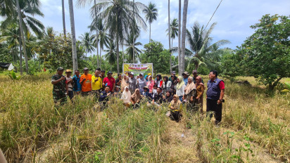 Upaya Atasi Darurat Pangan, Kementan Gencar Canangkan Program Pemenangan Padi Gogo di Lahan Rawan Kekeringan